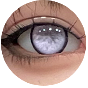 カスタムメイド #Ⅷ