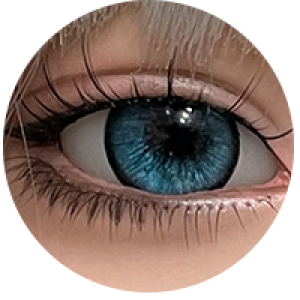 カスタムメイド #Ⅹ