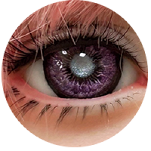 カスタムメイド #Ⅱ