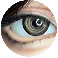 カスタムメイド #22