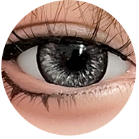 カスタムメイド #23