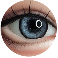 カスタムメイド #25