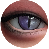 カスタムメイド #27