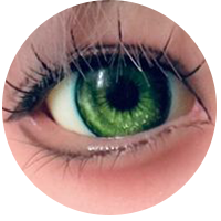 カスタムメイド #29