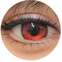 カスタムメイド #33