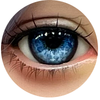 カスタムメイド #Ⅵ